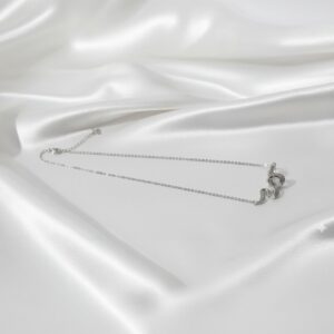 Silver Serpent Pendant Chain