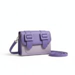 Dual-Tone Buckle Mini Sling Bag
