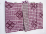 Handloom-Style Cotton Saree with Zari Checks and Embroidered Buttas